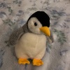 ペンギンのぬいぐるみ