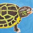 カメとは 動植物の人気 最新記事を集めました はてな