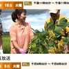 枝豆の「絶対うまいゆで方」！？「枝豆とヤマノイモの素揚げ」や「浸しえだまめ」はだれでも出来そう．/関東地方に今の時期出回っている枝豆は東北産なんですね．NHK　おかわり！にっぽん選「えだまめ」　/付録：枝豆の産地と栄養