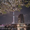 また今宵、皆さんへ癒やしとなれば🌃