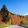 高山村の紅葉を見て来ました