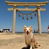 東浪見の鳥居⛩️