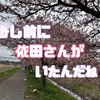 八千代の新川千本桜に河津桜を見に行った話～2024春