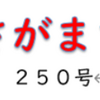 南区の情報誌『さがまち』250号です ‼ (2025/6/30)