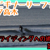 万年ビギナーサーファー　ノーズライディングへの道