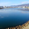 2025/12/11（木）　御前浜＆西宮浜  a.m.