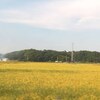 三重県はもう稲刈り