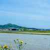 🚞５月のキハ１２０がある風景