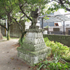 地域の材料
