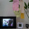 いもちゃんが、蝶々になりますように。