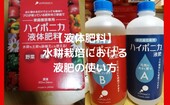 【ハイポニカ液体肥料】水耕栽培における液肥の使い方