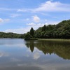 JR福知山線）有馬富士公園。カワラヒワ（幼鳥）、キセキレイ、ハクセキレイ、ホオジロ。