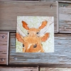 水彩画606枚目｢鹿さんから覗く鹿さん｣
