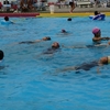 2017年8月26日 （日）カブ隊;水泳選手
