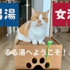 銭湯の番頭猫るるちゃんとドライヤーの買い替え。