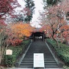 鎌倉の紅葉情報2020 今日の円覚寺　12月16日