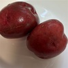 赤いじゃがいも＆そらの写真