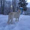 ふかふかの雪