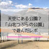 まるで天空にある公園？山北つぶらの公園で富士山の絶景と遊具を満喫