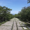 京都ぶらり　魅力の岡崎エリア