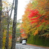 奥日光中禅寺湖の紅葉