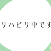 今週はリハビリでお休みします。