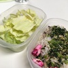 現役OLの「ちょう貧乏飯」2