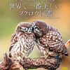 神秘的なフクロウ類の生態200点近くの写真で紹介図鑑