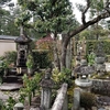 2017　2/28の拝観報告2（大徳寺 聚光院 利休忌）