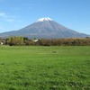 紅葉の朝霧高原を歩く