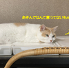 おつかれでした8月！