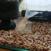 金魚の浮き気味で食べさせる場合