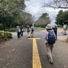 葛西臨海公園で干潟の鳥