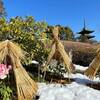 雪の東京、何をする？悩んだら上野東照宮のぼたん苑がオススメ！【上野恩賜公園】