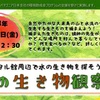 どんな生き物がいるのかな？秋の生き物観察会（11/3）