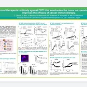 一般社団法人日本癌治療学会がesmo 欧州臨床腫瘍学会 の患者さん向け手引きを公開 がん情報サイト オンコロ