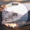 "DSF" lovely organic deep house, melodic, afro, progressive, remix