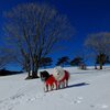 2018年振り返り