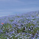 しがない大学生の万人のためにならない日記