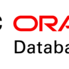 【Oracle Database 19c】DBCAを使用したデータベース作成【Database Configuration Assistant】