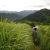 子猿の夏休み2009　四万川で遊ぶこと