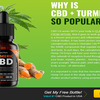 Plant Pure Turmeric CBD Oil Reviews, Best Price & Where To Buy ?