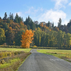 田舎の道Country Road