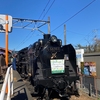 都内から「長瀞」への日帰りひとり旅。滞在時間３時間半で大満足！！