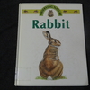 Rabbit －うさぎ－