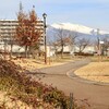 「佐久の季節便り」、「コトネアスター」で、クリスマスリースを作ろう…。