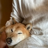 熱があるのに気がつきませんでした
