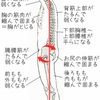 ⑤【基礎作り】フラットバック編！その1