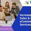 Increase Your Sales & ROI With eCommerce SEO Services