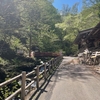 滝のエネルギーに触れてきました✨